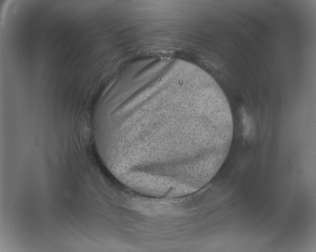 X0000062130040200512231450