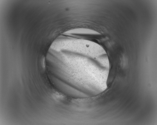 X0000062130041200512231450