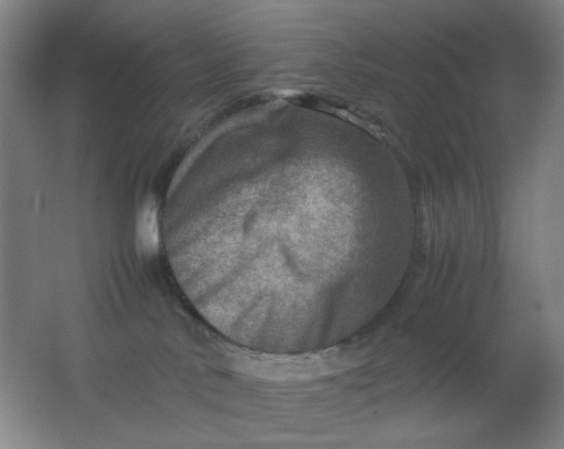 X0000062130042200512231450