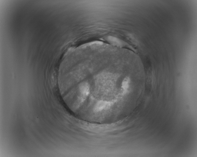 X0000062130043200512231450