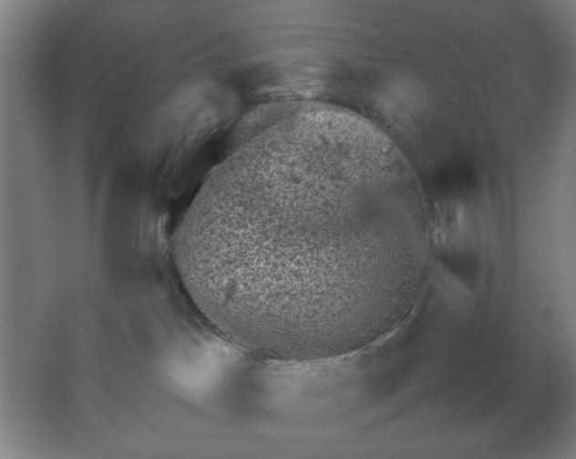 X0000062130045200512231450