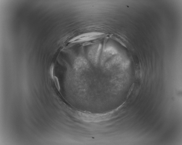 X0000062130047200512231450