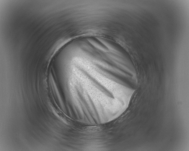 X0000062130050200512231449