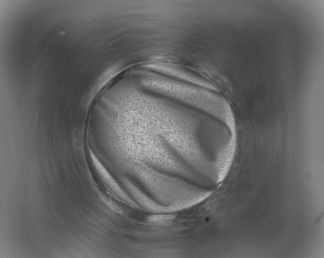 X0000062130051200512231449