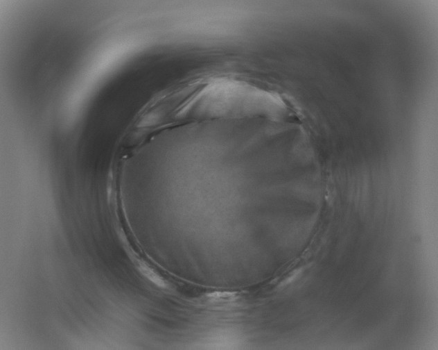 X0000062130052200512231449