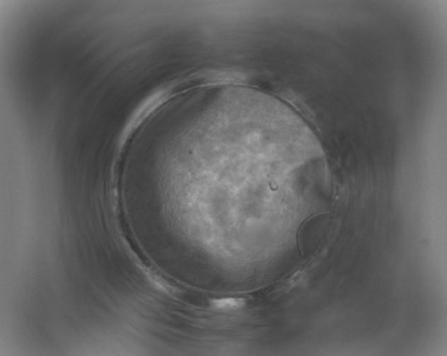 X0000062130053200512231449