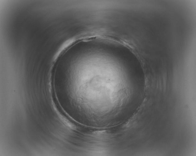 X0000062130054200512231449