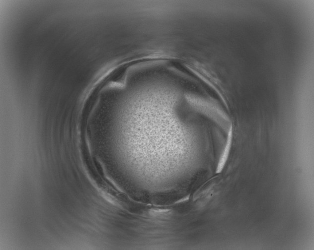 X0000062130055200512231449