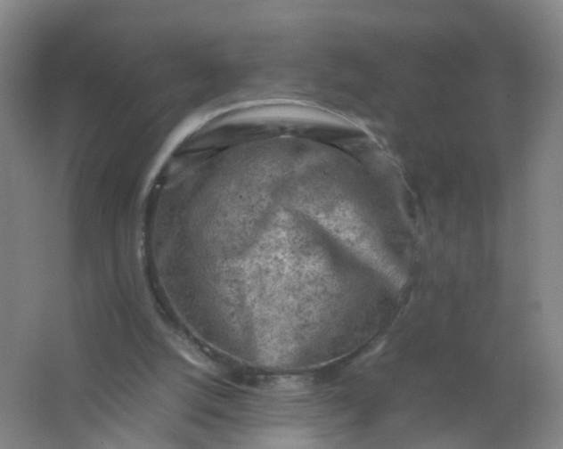 X0000062130056200512231449