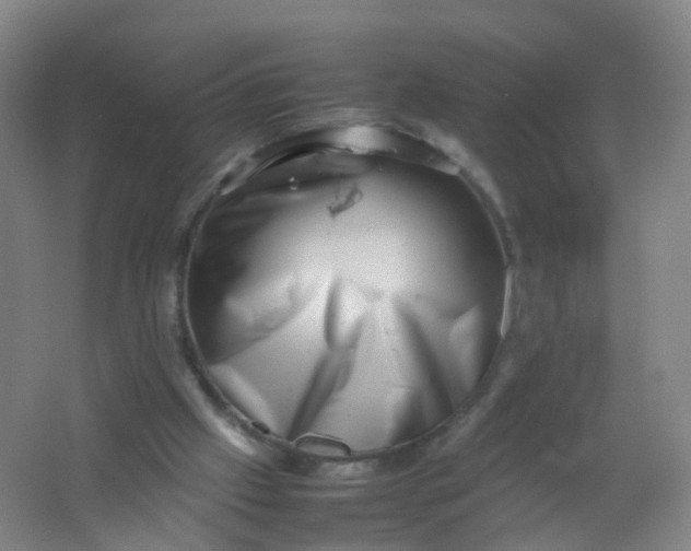 X0000062130057200512231449