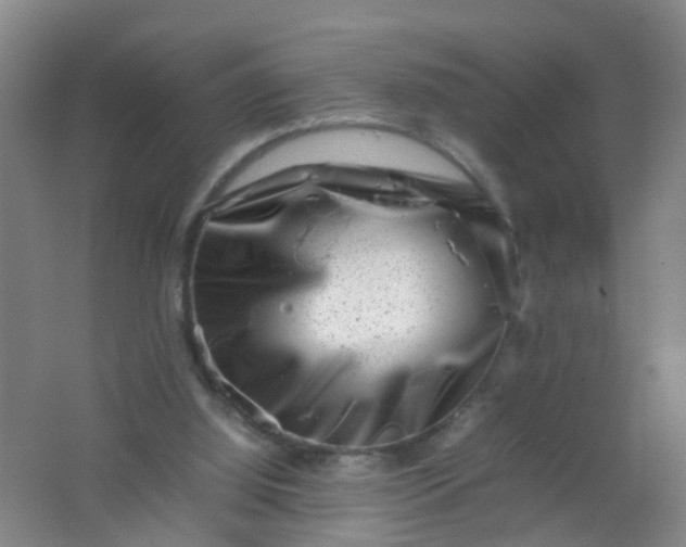 X0000062130060200512231449