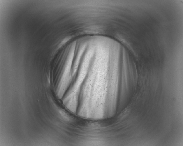 X0000062130062200512231449