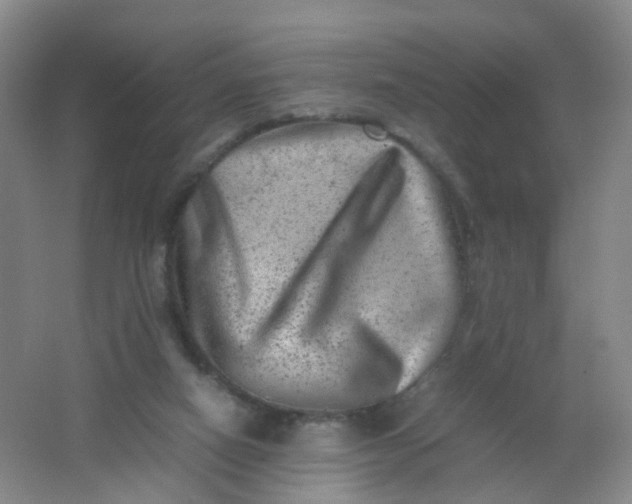 X0000062130066200512231449