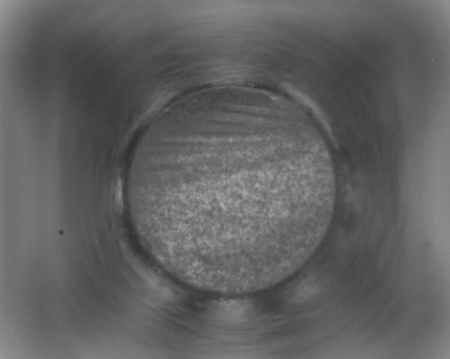 X0000062130067200512231449