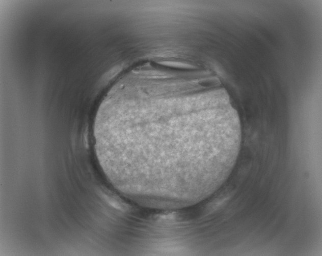 X0000062130068200512231449