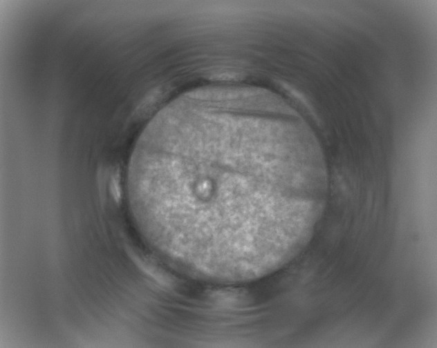 X0000062130069200512231449