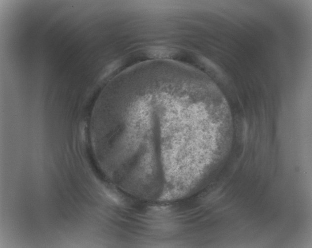 X0000062130071200512231449