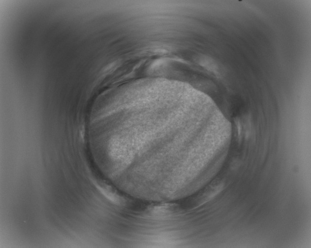 X0000062130072200512231449