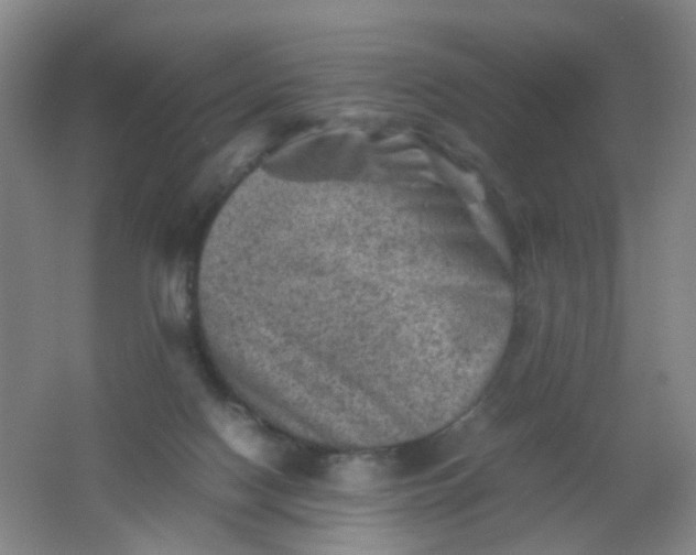 X0000062130074200512231449