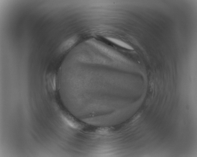 X0000062130076200512231449