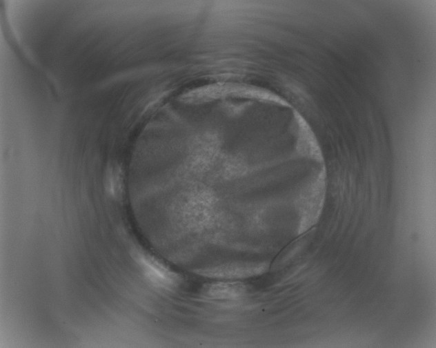 X0000062130077200512231449