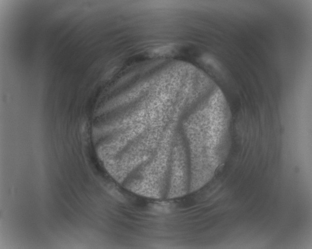 X0000062130079200512231449