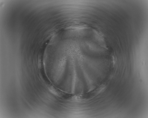 X0000062130080200512231449