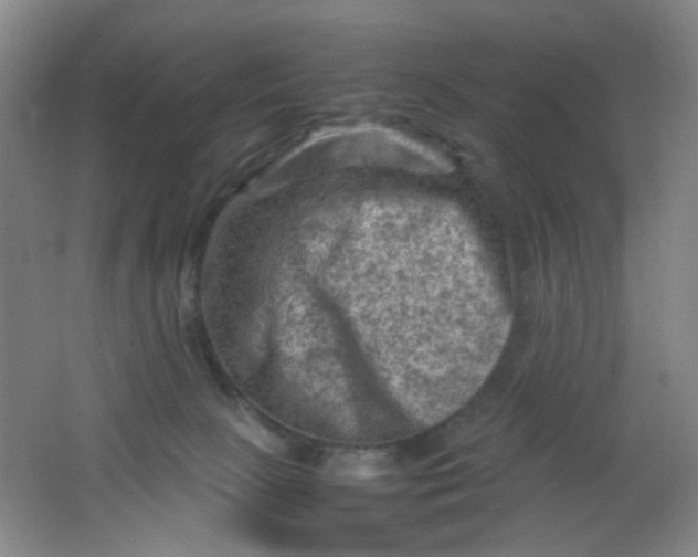 X0000062130081200512231449