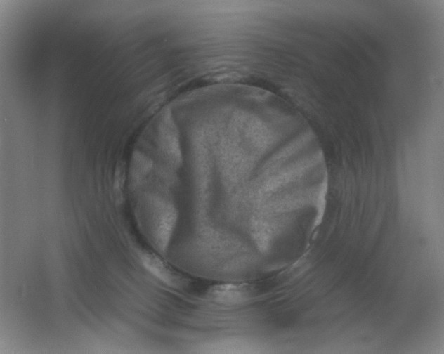 X0000062130082200512231449