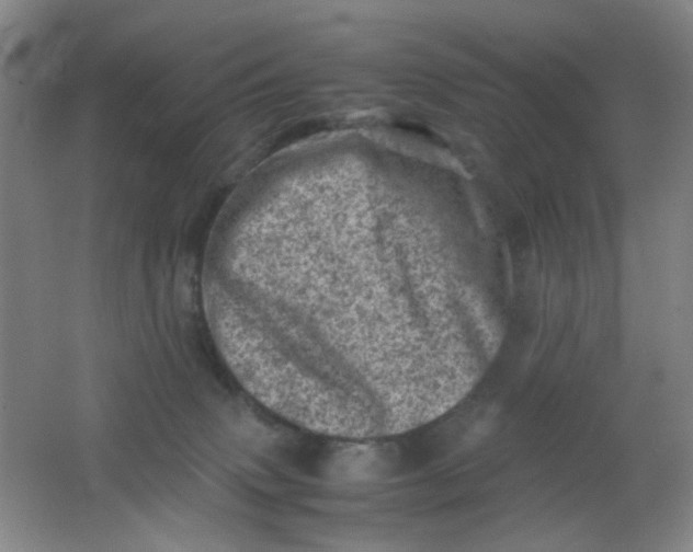 X0000062130083200512231449