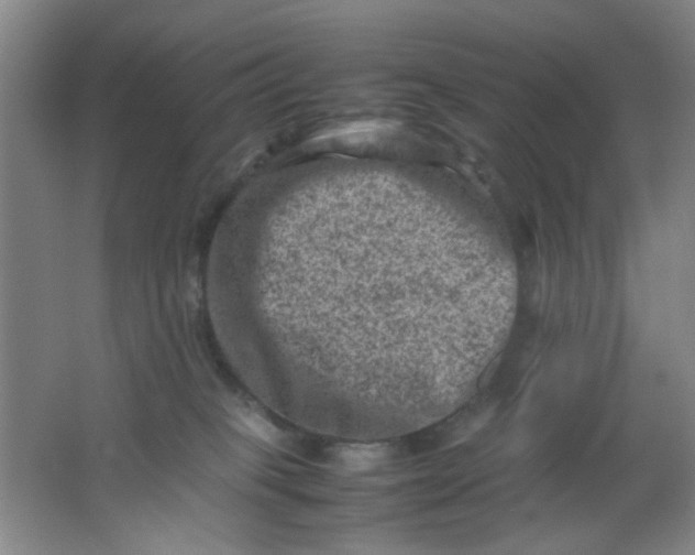 X0000062130085200512231449