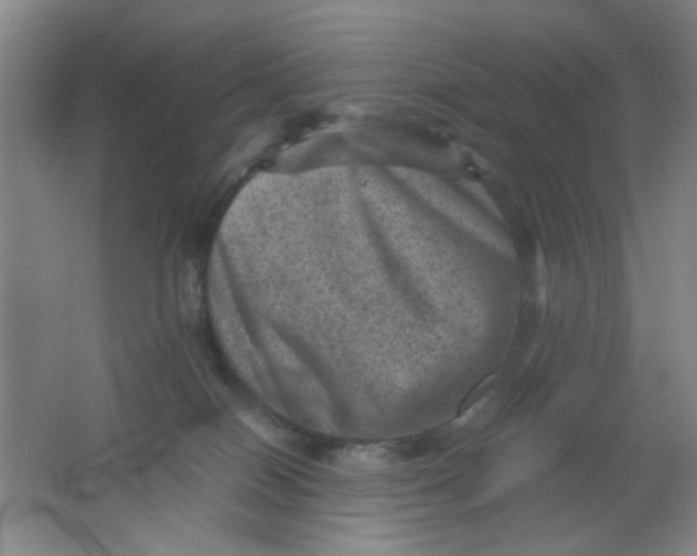 X0000062130086200512231449