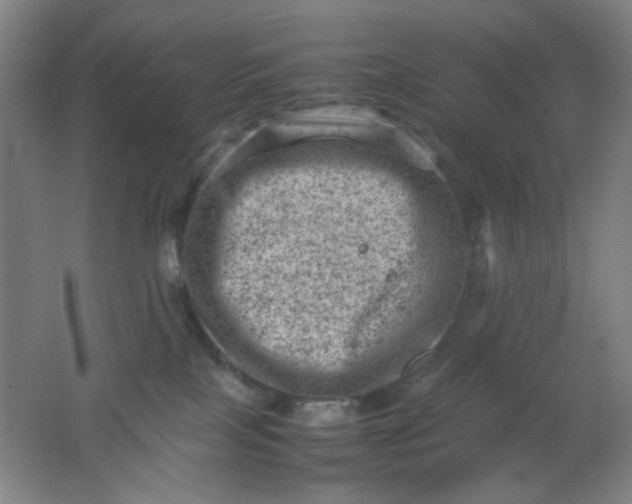 X0000062130089200512231449