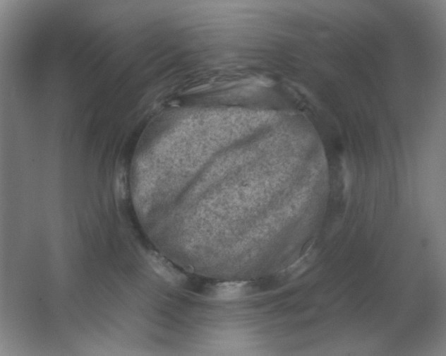 X0000062130090200512231449