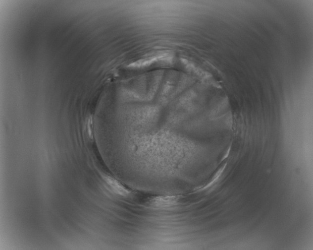 X0000062130094200512231450