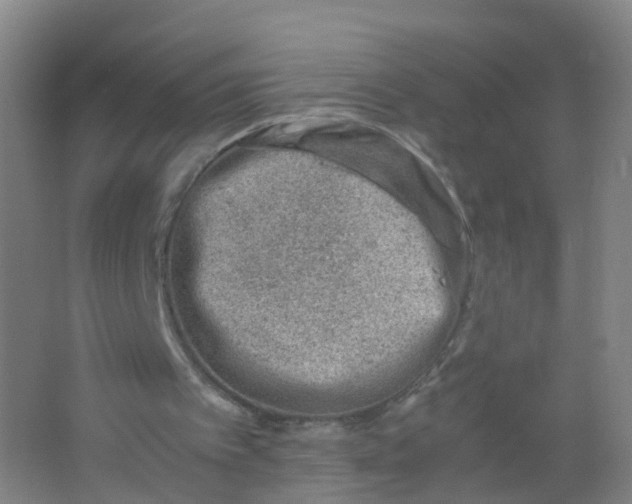 X0000062130097200512231449