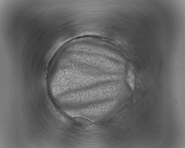 X0000062130098200512231449