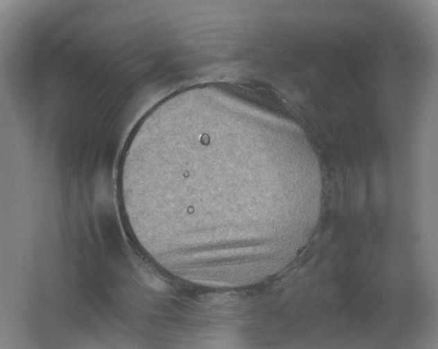 X0000062130100200512231449