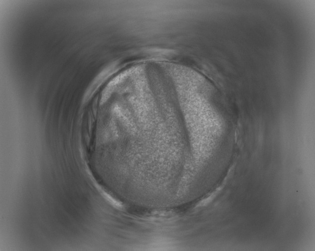 X0000062130101200512231449