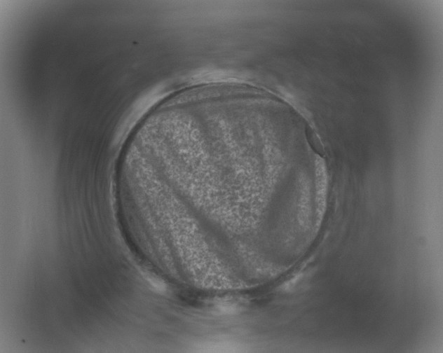 X0000062130103200512231449