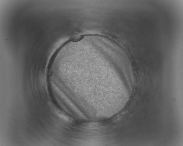 X0000062130104200512231449