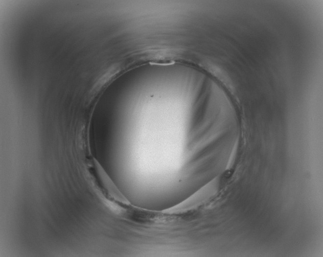 X0000062130105200512231449