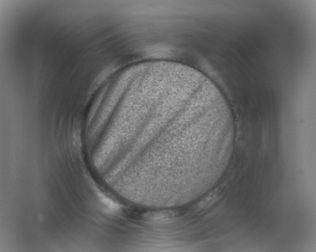 X0000062130106200512231449