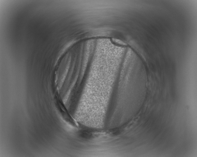 X0000062130107200512231449