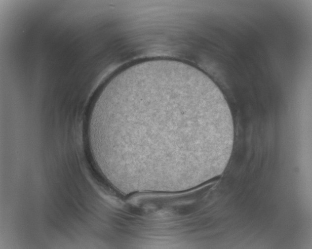 X0000062130108200512231449