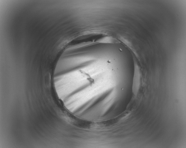 X0000062130109200512231449