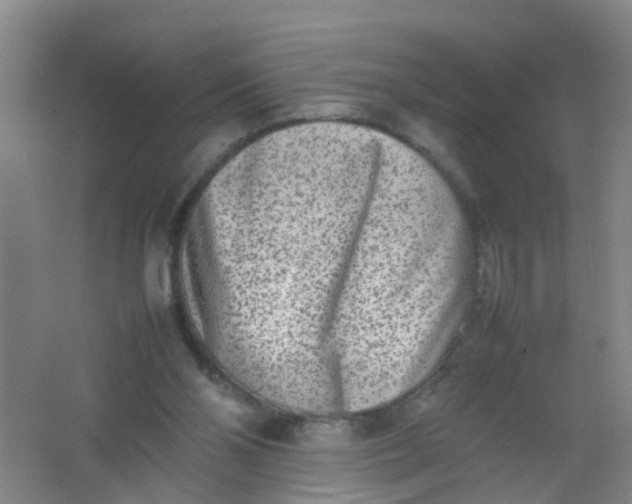 X0000062130110200512231449