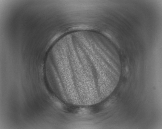 X0000062130111200512231449