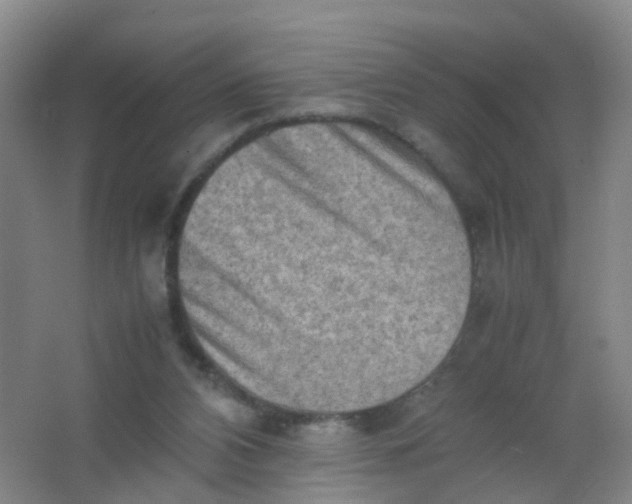 X0000062130112200512231449