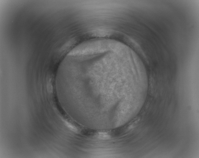 X0000062130114200512231448